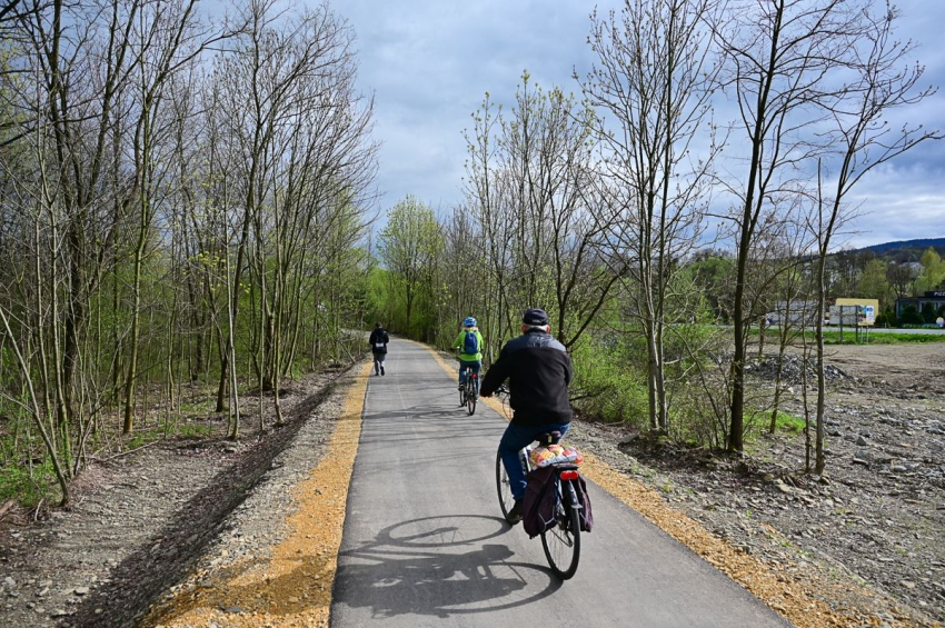Kilku rowerzystów jadą po ścieżce rowerowej. Po obu stronach ścieżki drzewa.