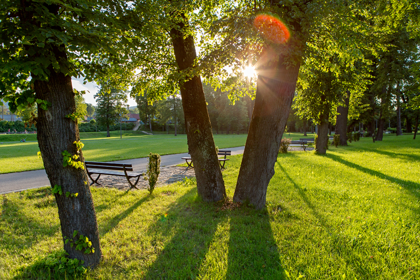 Park.