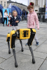 Dziewczynki oglądają nowoczesnego małego robota.
