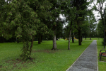 Park.