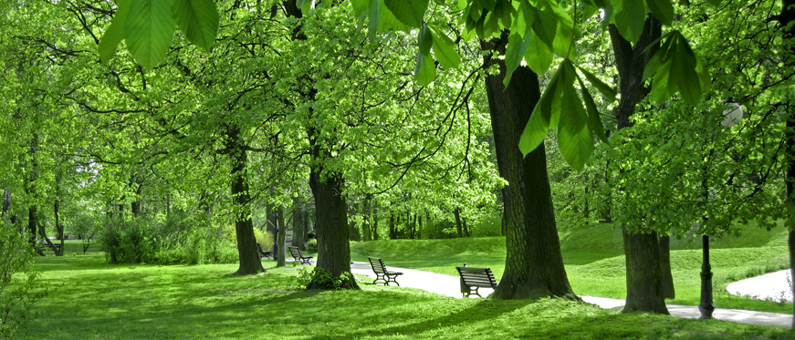 Park w Skawinie