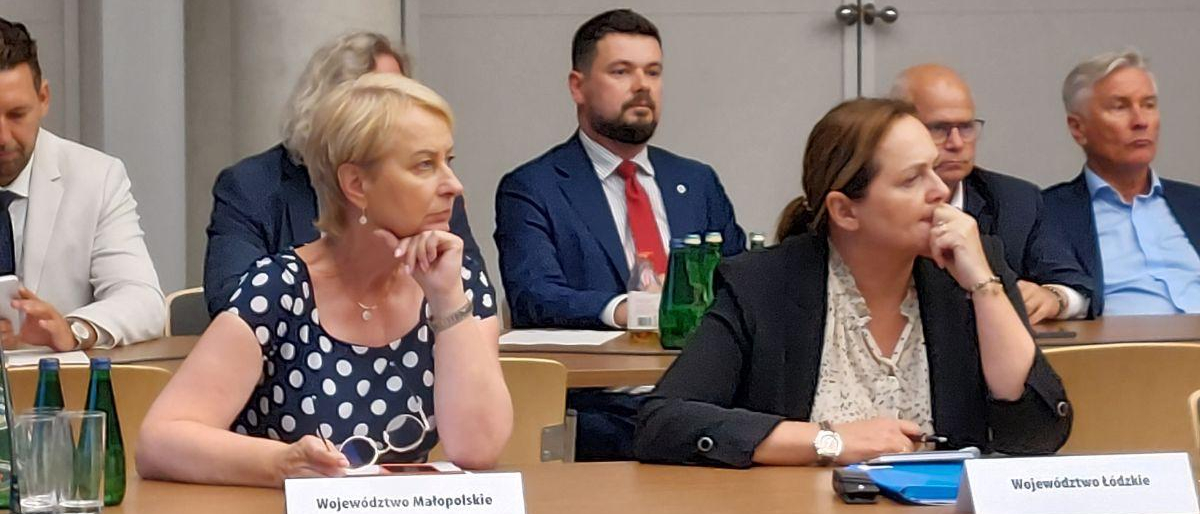 Kilka osób na spotkaniu w sali konferencyjnej