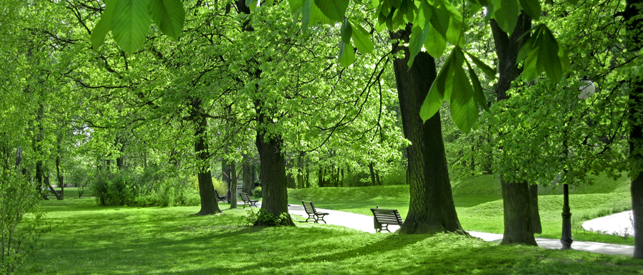 Park.