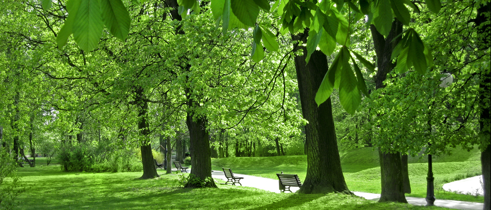 park w Skawinie