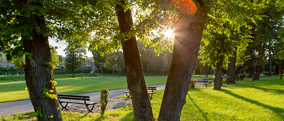 Park.